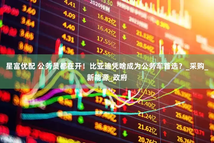 星富优配 公务员都在开！比亚迪凭啥成为公务车首选？_采购_新能源_政府
