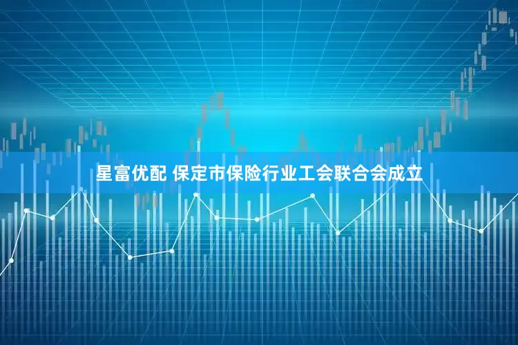 星富优配 保定市保险行业工会联合会成立