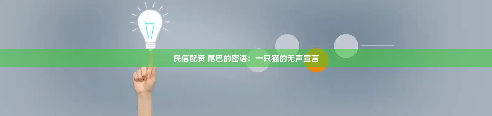 民信配资 尾巴的密语：一只猫的无声宣言